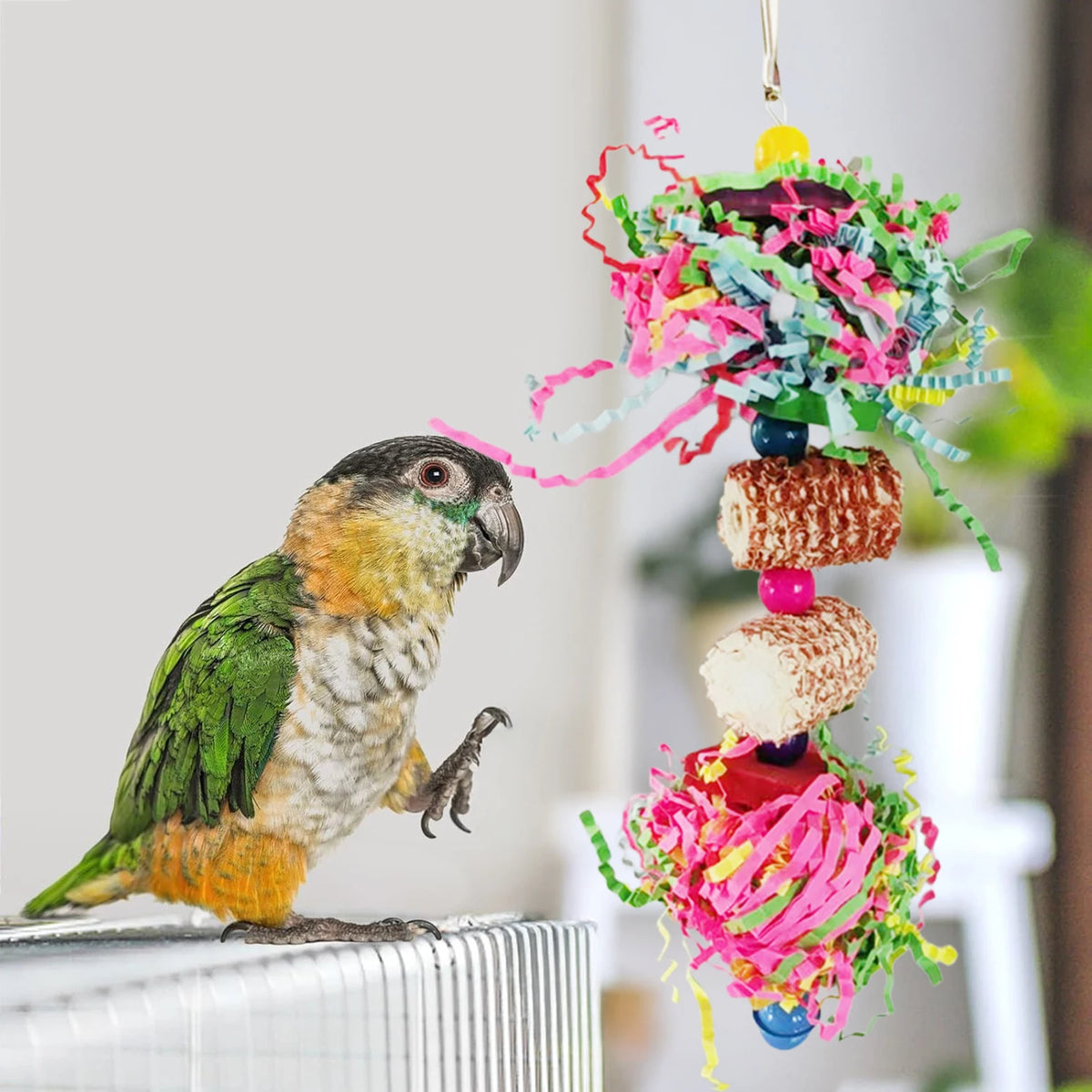 Bird Climbing Chewing Toy Colourful — Swuffy
