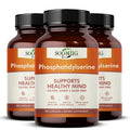 Phosphatidylserine Brain Supplement Supports Healthy — Swuffy