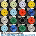 Dial Fits Movement Watch Accessories — Swuffy
