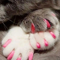 Dog Cat Nail Covers Cat — Swuffy