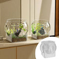 Clear Fish Tank Round Resistant — Swuffy