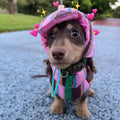 Pink Brown Jacket Hat Wiener — Swuffy