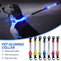 Dog Anti Lost Safety Glowing — Swuffy