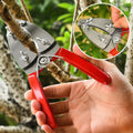 Tree Ring Pruning Shears Stainless — Swuffy