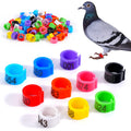 Pigeon Foot Ring Feeding Supplies — Swuffy