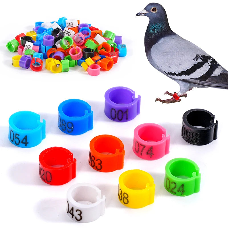Pigeon Foot Ring Feeding Supplies — Swuffy
