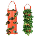 Sale Hole Grow Bag Hanging — Swuffy