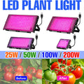 Full Spectrum LED Grow Light — Swuffy