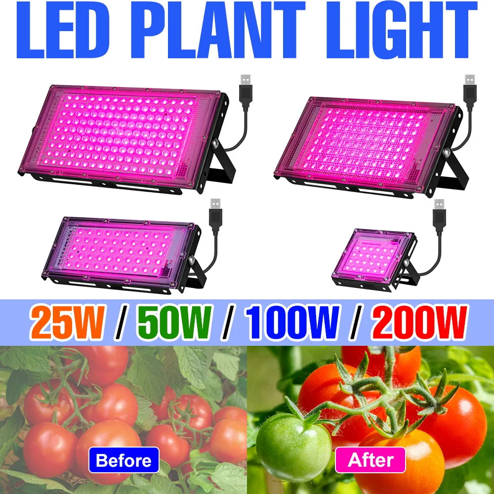 Full Spectrum LED Grow Light — Swuffy