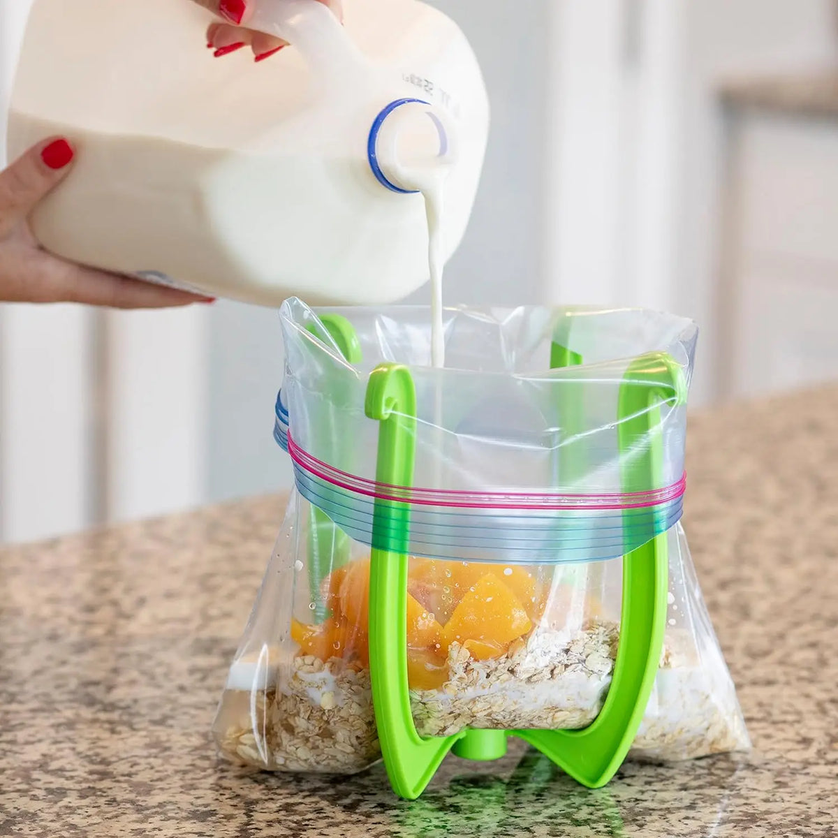 Foldable Bag Storage Holder — Swuffy
