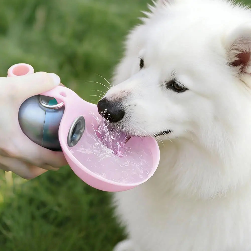 Spherical Pet Water Bottle Capacity — Swuffy
