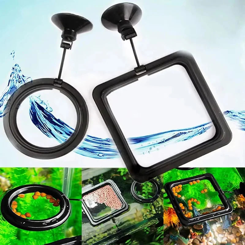 Aquarium Feeding Ring Fish Tank — Swuffy