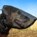 Dog Face Mask Protect Eyes — Swuffy