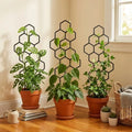 Plant Trellis Support — Swuffy