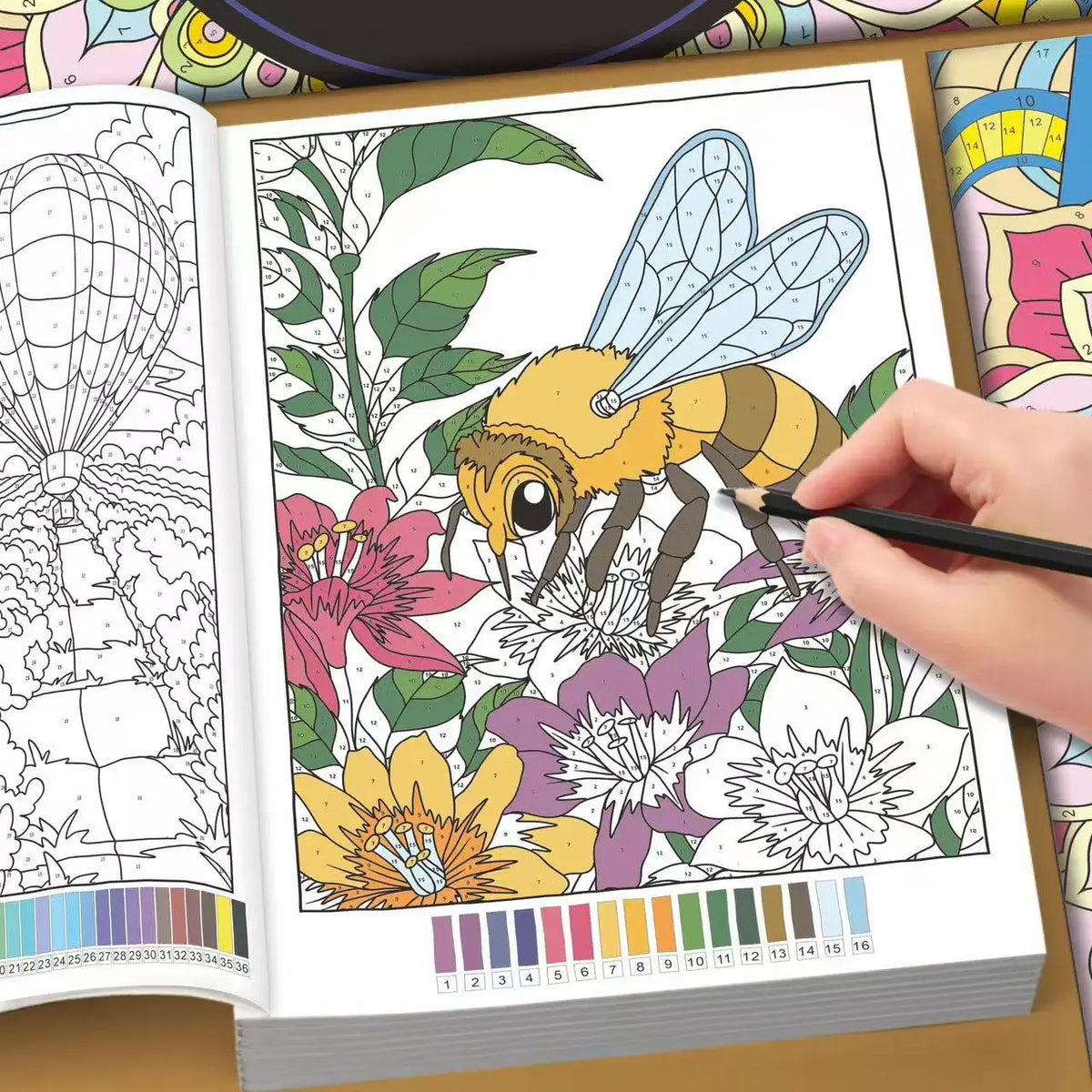 By Number Coloring Book Adults — Swuffy