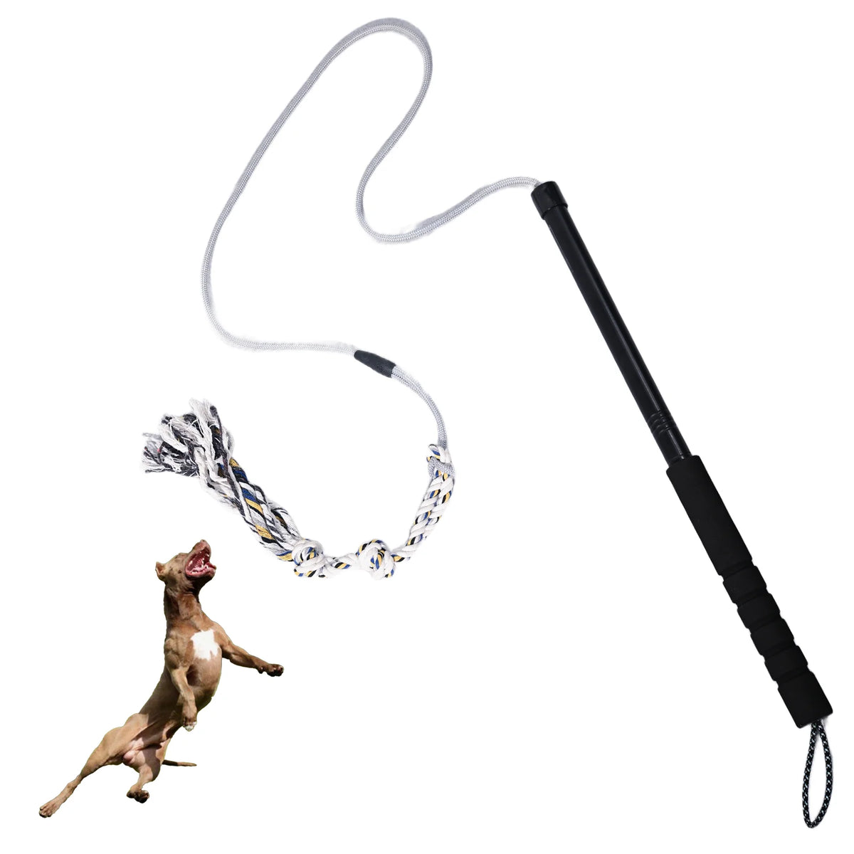 Flirt Pole Dogs Interactive Dog — Swuffy