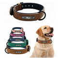 Custom Pet ID Tag — Swuffy