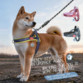 Saddle Dog Harness Walking Escape — Swuffy