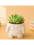 Succulent Flower Pot — Swuffy
