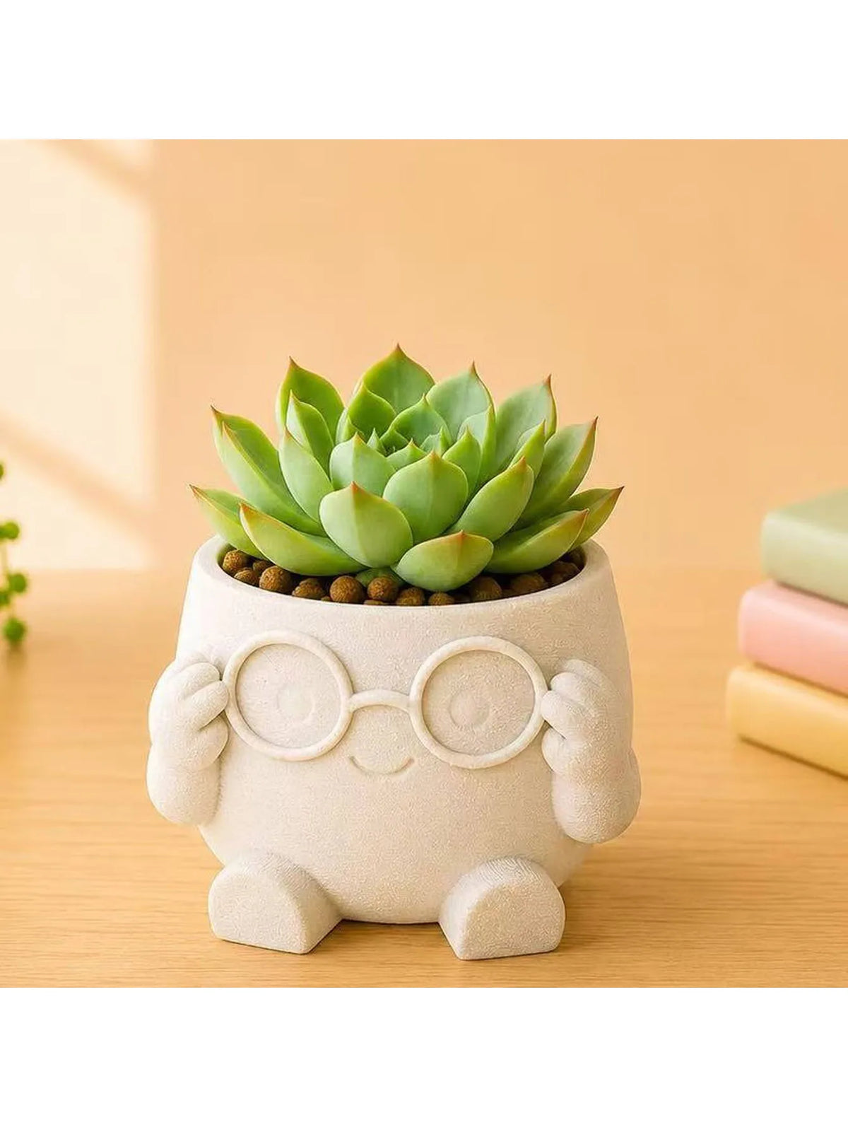 Succulent Flower Pot — Swuffy