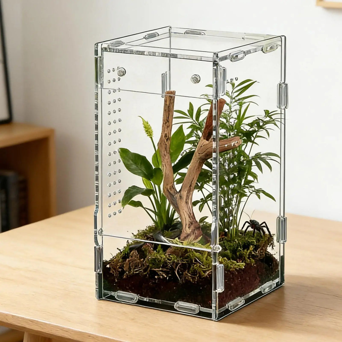 Reptile Enclosure Front Opening Escape — Swuffy
