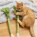 Interactive Self Playing Catnip Molar — Swuffy