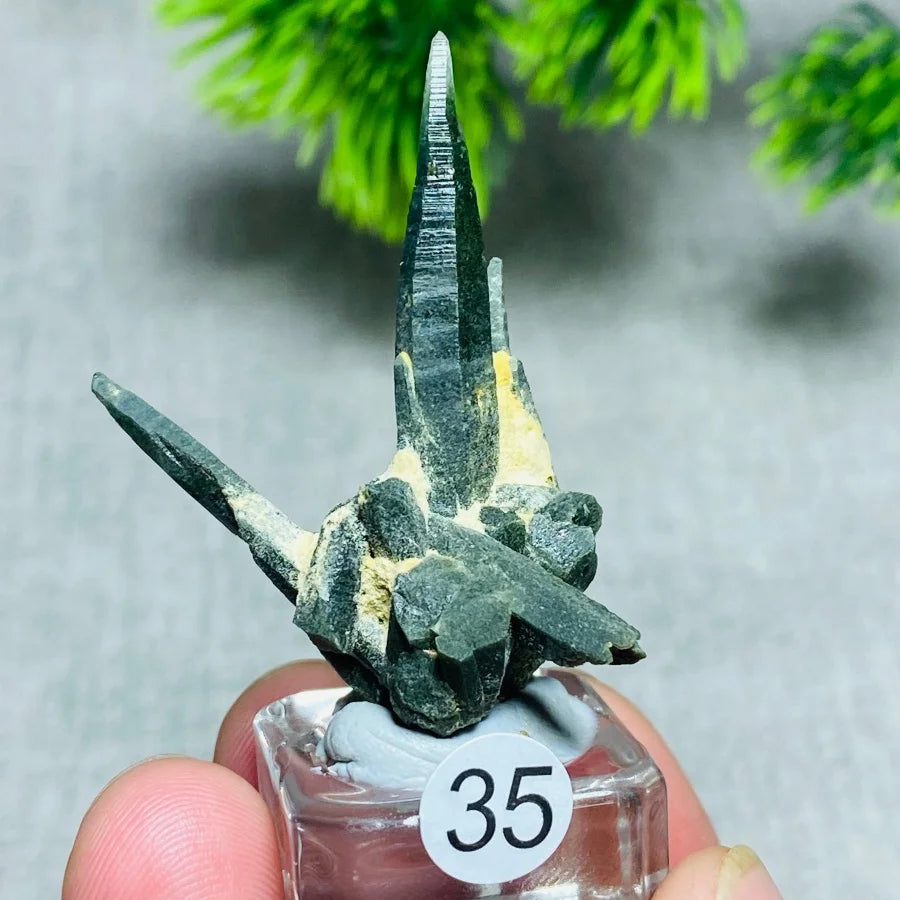 Natural Green Quartz Crystal Cluster — Swuffy