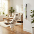 Automatic Interactive Cat Toy Wall — Swuffy