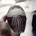 Nuvora Colored Handmade Glow Glass Jellyfish Figurines Paperweight — Nuvora