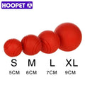 Hoopet Dog Toy Rubber Ball — Swuffy