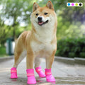 Pet Dog Rainshoes Silicone Antiskid — Swuffy